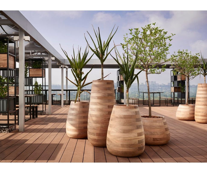 High end Tuber Planter by Indigenus Casa Design