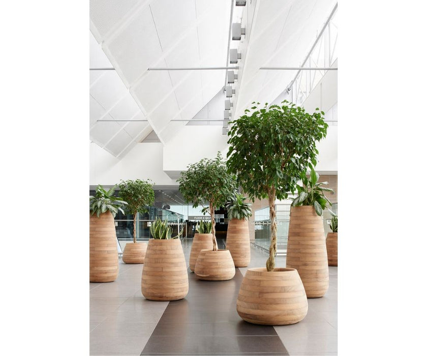 High end Tuber Planter by Indigenus Casa Design