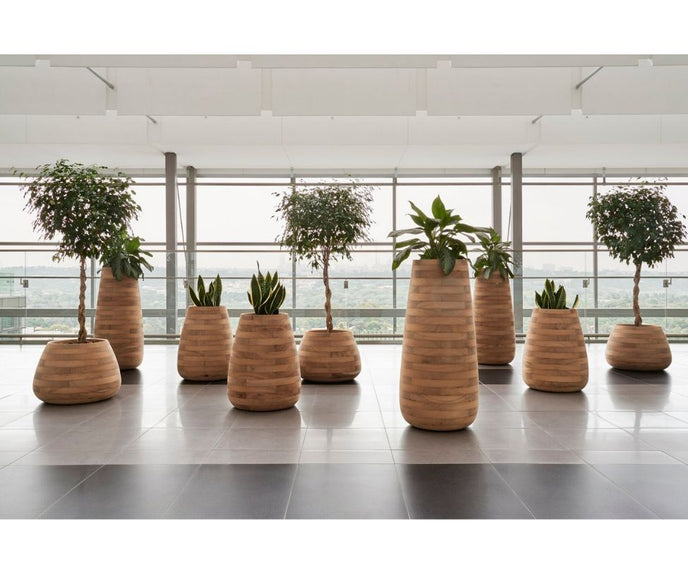 High end Tuber Planter by Indigenus Casa Design