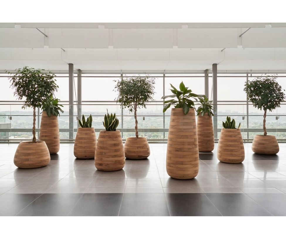 High end Tuber Planter by Indigenus Casa Design
