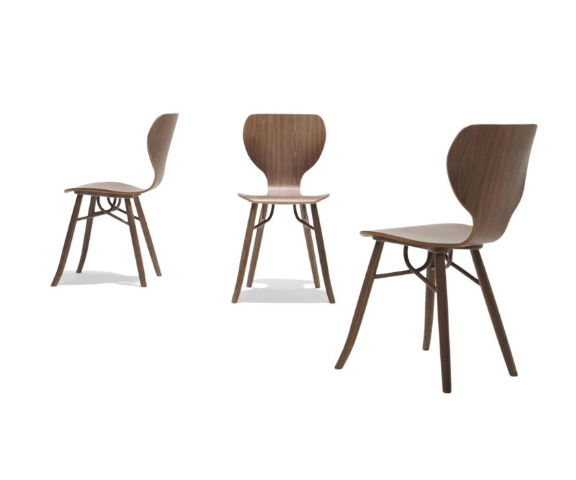 Tulipani Dining Chair Linteloo