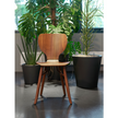 Tulipani Dining Chair Linteloo