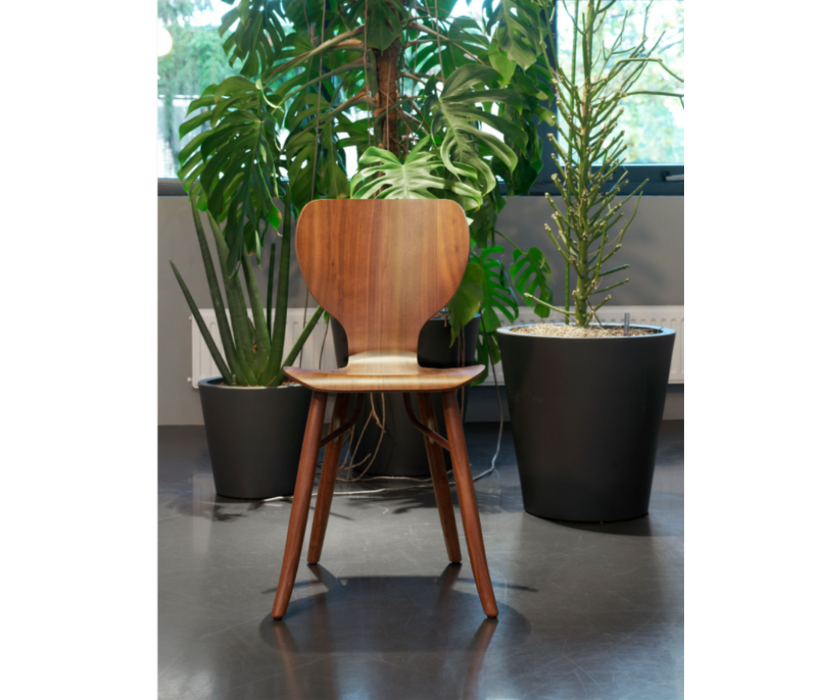 Tulipani Dining Chair Linteloo