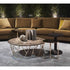 Twig Coffee Table Marelli