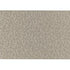 Tonic Nomad Rug Limited Edition