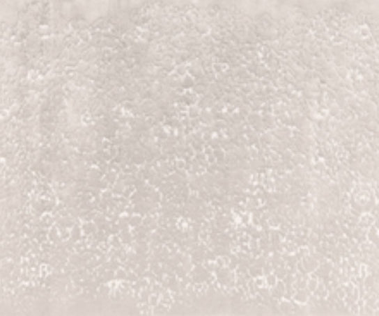 Maestro Bloom Rug Limited Edition