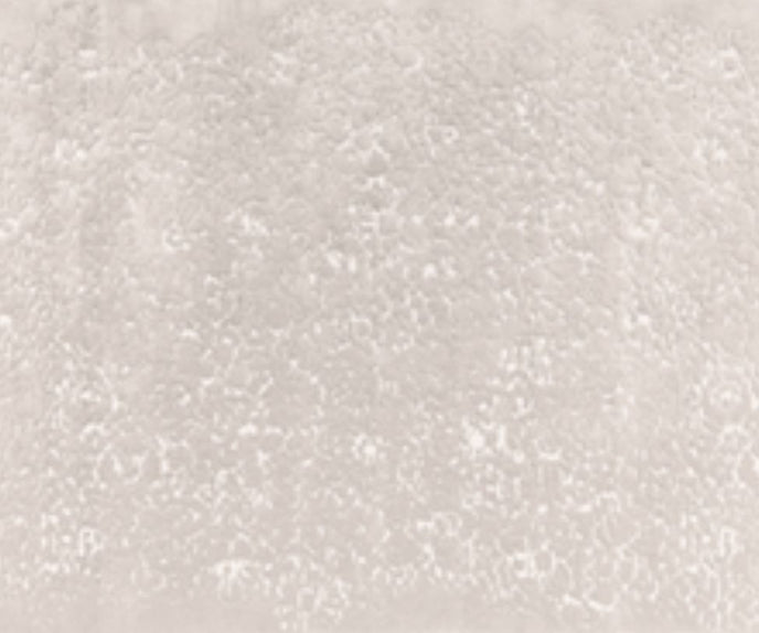 Maestro Bloom Rug Limited Edition