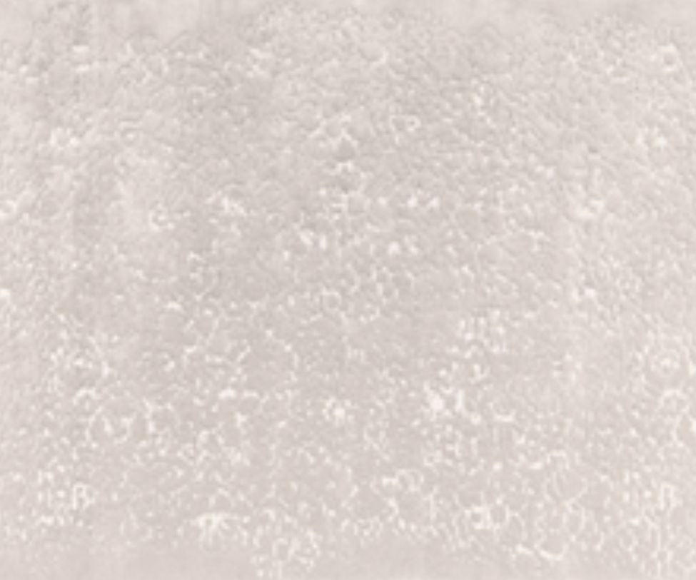 Maestro Bloom Rug Limited Edition