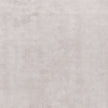Prestige Rug Limited Edition
