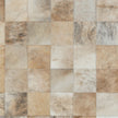 Pinto Rug Limited Edition