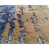 High end Used Rug by Serge Lesage Casa Design