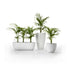 Vases Planters
