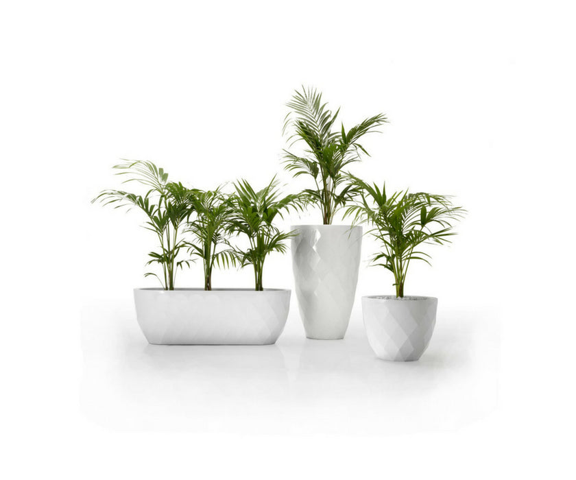 Vases Planters