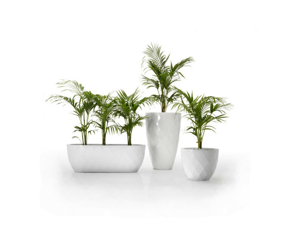 Vases Planters
