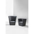 Velour Armchair La Cividina