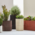 Aarde Planter Collection Indigenus