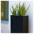 High end Wall Planter by Vondom Casa Design