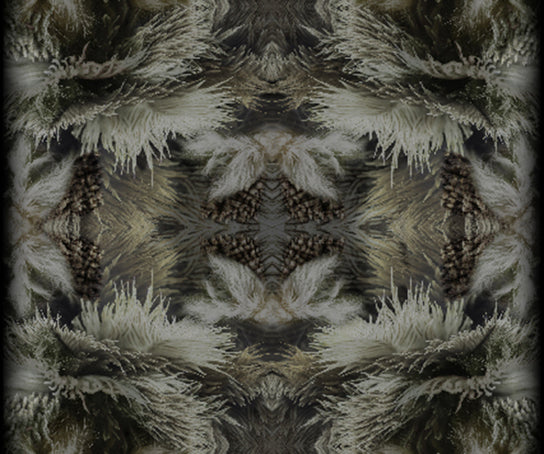 Blushing Sloth Rug Moooi