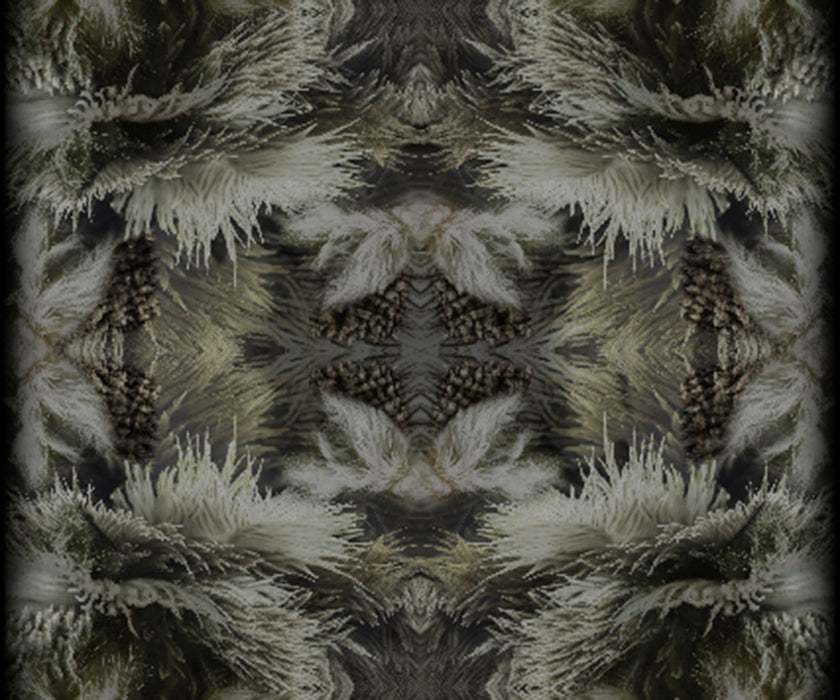 Blushing Sloth Rug Moooi