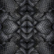 Dwarf Rhino Rug Moooi