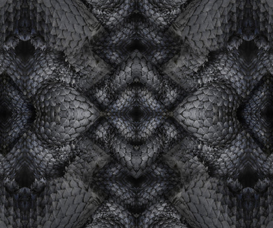 Dwarf Rhino Rug Moooi