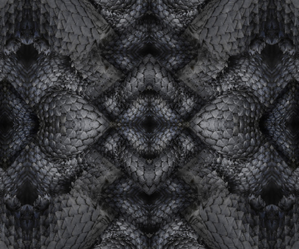 Dwarf Rhino Rug Moooi