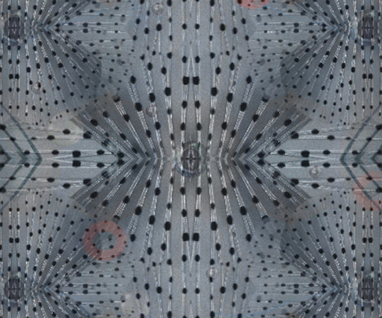 Flying Coral Fish Rug Moooi