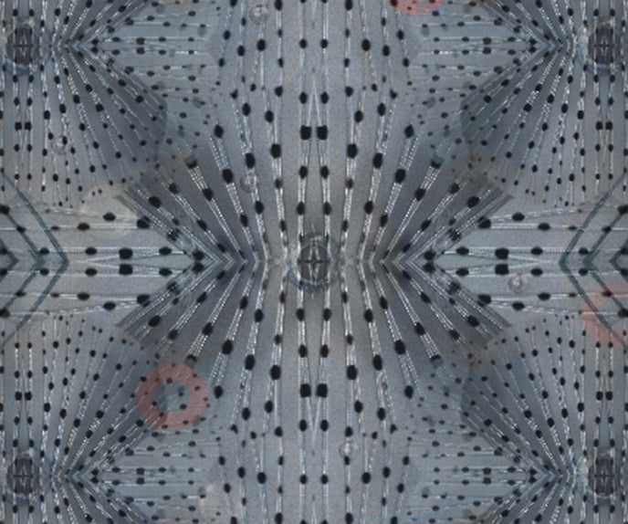 Flying Coral Fish Rug Moooi