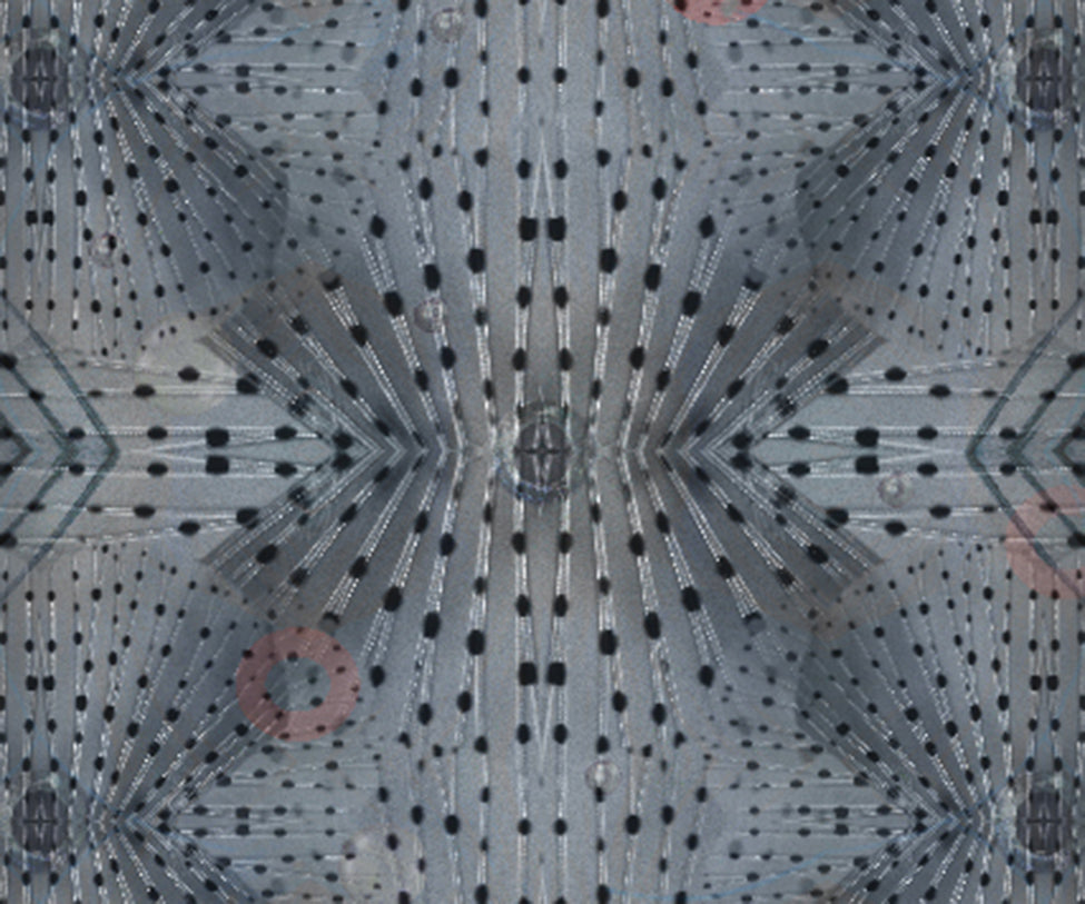 Flying Coral Fish Rug Moooi