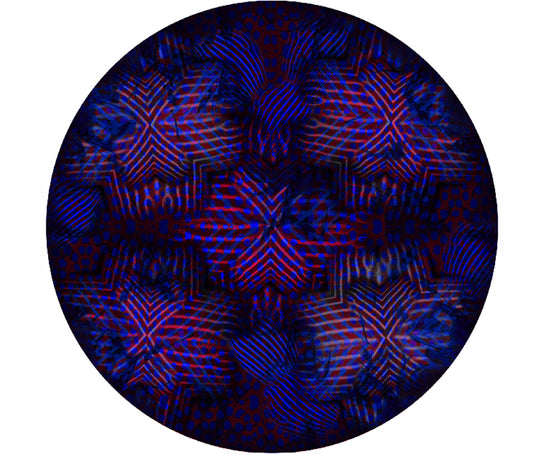 Umbrella Squid Round Rug Moooi 