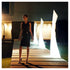 High end Wing Lamp by Vondom Casa Design