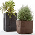 Aarde Planter Collection Indigenus