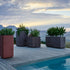 Aarde Planter Collection Indigenus