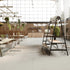 AMAi Table Extremis