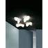 High end Blob S Ceiling/ Wall Light by Foscarini Casa Design