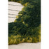 Tempore Lapse 2 Rug | CC Tapis