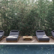 S2 Chaise Lounge Danao Living