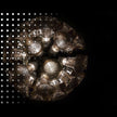 Chalice Hanging Lamp Moooi