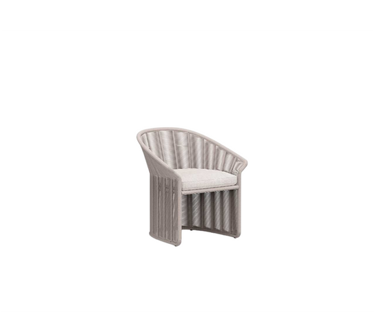 Collare Dining Chair | Danao Living