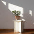 Plec Side and Coffee Tables | RS Barcelona 