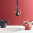 Roc Lounge Armchair | Cor