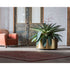Elegant Brass Cuprum Round Outdoor Planter by Royal Botania Casa Design Group