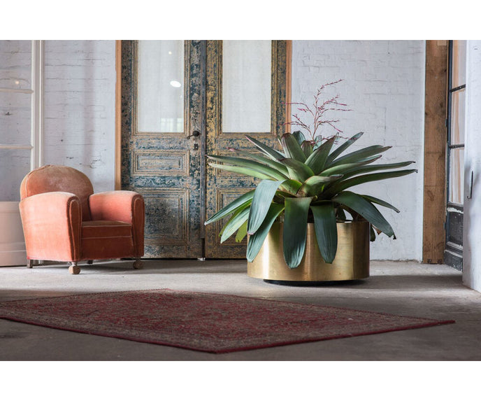Elegant Brass Cuprum Round Outdoor Planter by Royal Botania Casa Design Group
