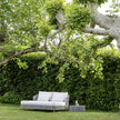 Tibidabo Daybed Varaschin