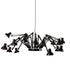 Dear Ingo Suspension Moooi