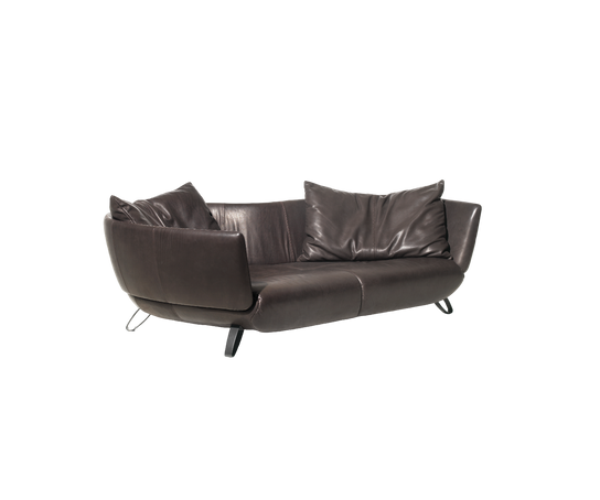 DS-102 Sofa | De Sede