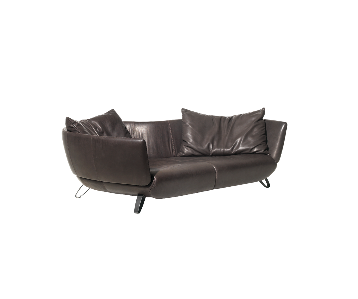 DS-102 Sofa | De Sede