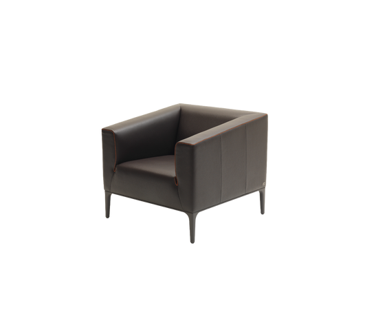 DS-161 Armchair | De Sede