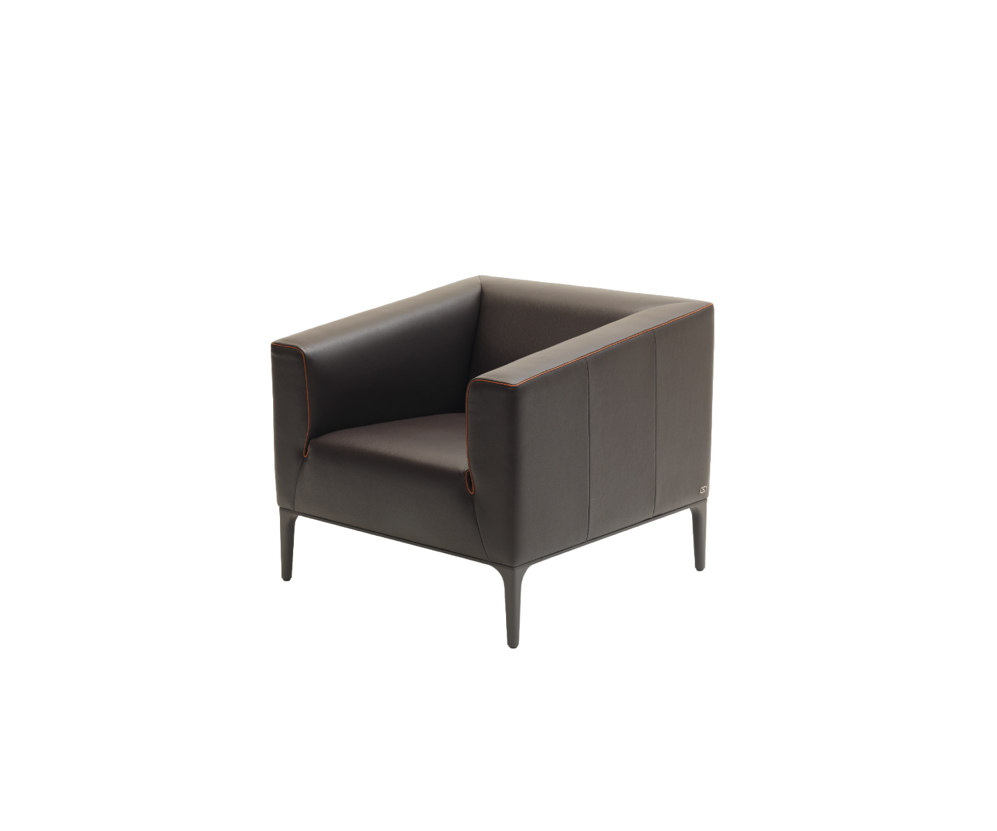 DS-161 Armchair | De Sede