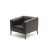 DS-161 Armchair | De Sede